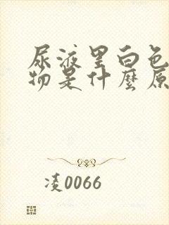 尿液里白色沉淀物是什么原因