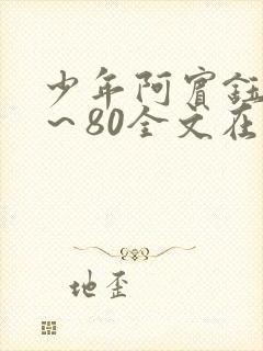 少年阿宾钰慧1～80全文在线阅读