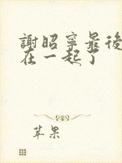 谢昭宁最后和谁在一起了封面