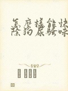 怎么样能快速去除狗尿骚味