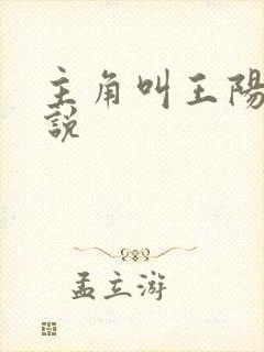 主角叫王阳的小说