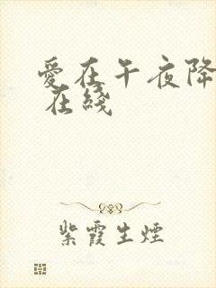 爱在午夜降临前 在线