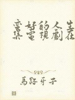 蛮好的人生40集电视剧在线看