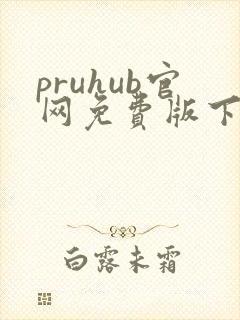 pruhub官网免费版下载安卓版