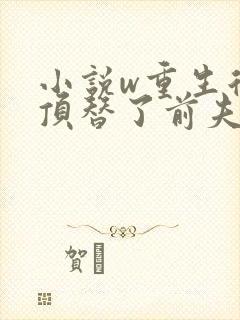 小说w重生后我顶替了前夫白月光,