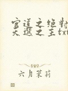 官道之绝对权力天选之主txt精校版封面