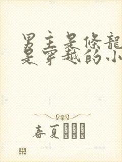 男主是条龙女主是穿越的小说