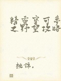 精灵宝可梦信长之野望攻略