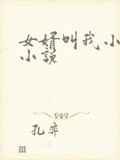 女婿叫我小老婆小说封面