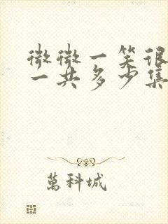 微微一笑很倾城一共多少集