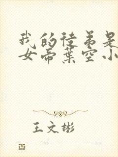 我的徒弟是重生女帝叶空小说