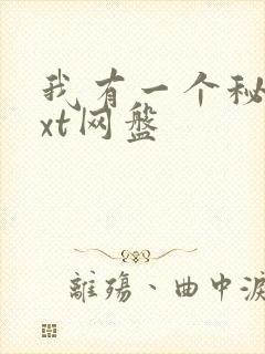 我有一个秘密txt网盘封面