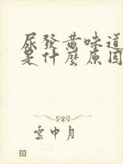 尿发黄味道很重是什么原因