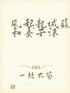 风起龙城苏天御和秦子沫封面