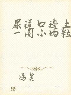 尿道口边上长了一圈小肉粒图片