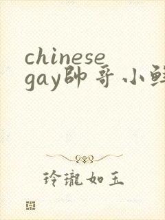 chinesegay帅哥小鲜肉