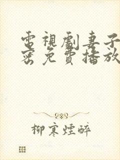 电视剧妻子的秘密免费播放封面