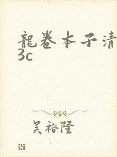 龙卷本子清炭93c