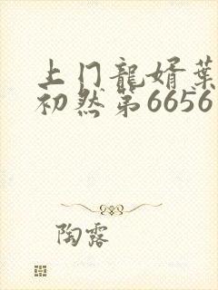 上冂龙婿叶辰萧初然第6656章节