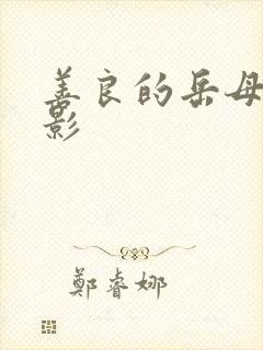 善良的岳母3电影封面