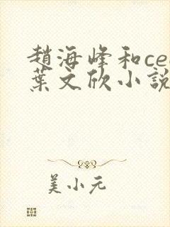 赵海峰和ceo叶文欣小说