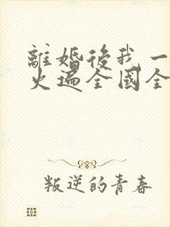 离婚后我一首歌火遍全国全文阅读