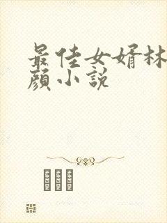 最佳女婿林羽江颜小说封面