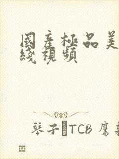 国产极品美女在线视频