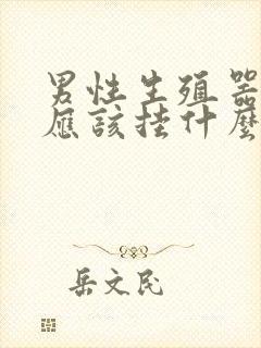 男性生殖器问题应该挂什么科