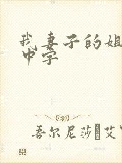 我妻子的姐姐2中字