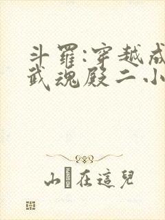 斗罗:穿越成为武魂殿二小姐