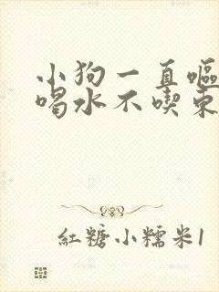 小狗一直呕吐只喝水不吃东西