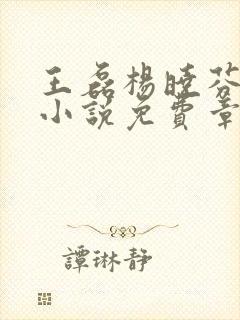 王磊杨晓芬王森小说免费章节封面