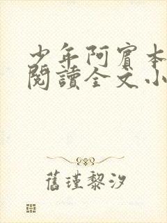 少年阿宾本全文阅读全文小说