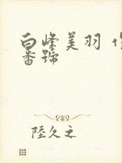 白峰美羽 作品番号