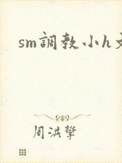 sm调教小h文