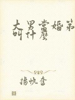 大男当婚第二部叫什么封面