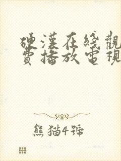 硬汉在线观看免费播放电视剧