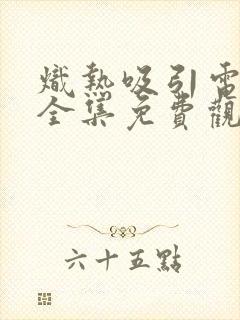 炽热吸引电视剧全集免费观看40集