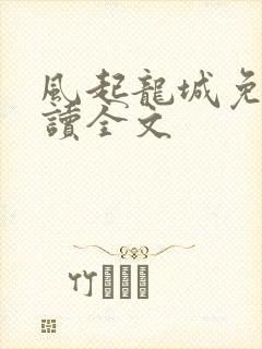 风起龙城免费阅读全文