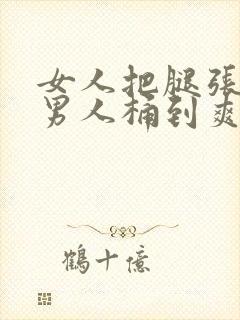 女人把腿张开让男人桶到爽