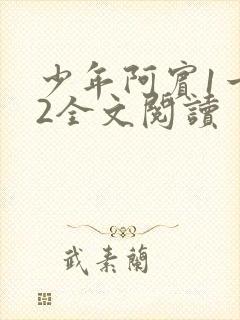 少年阿宾1一72全文阅读