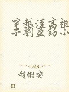 穿越汉高祖嫡长子刘盈的小说