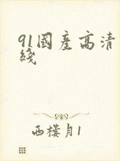 91国产高清在线