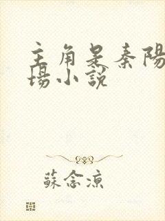 主角是秦阳的官场小说