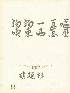 狗狗一直呕吐不吃东西怎么办