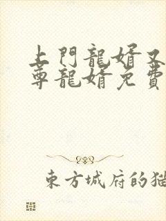 上门龙婿又名至尊龙婿免费全文阅读封面