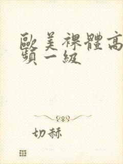 欧美裸体高清视频一级