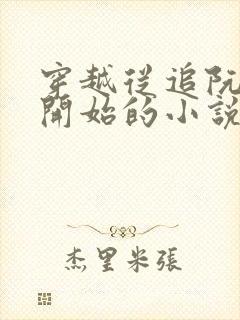 穿越从追阮流筝开始的小说