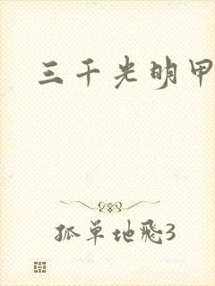 三千光明甲